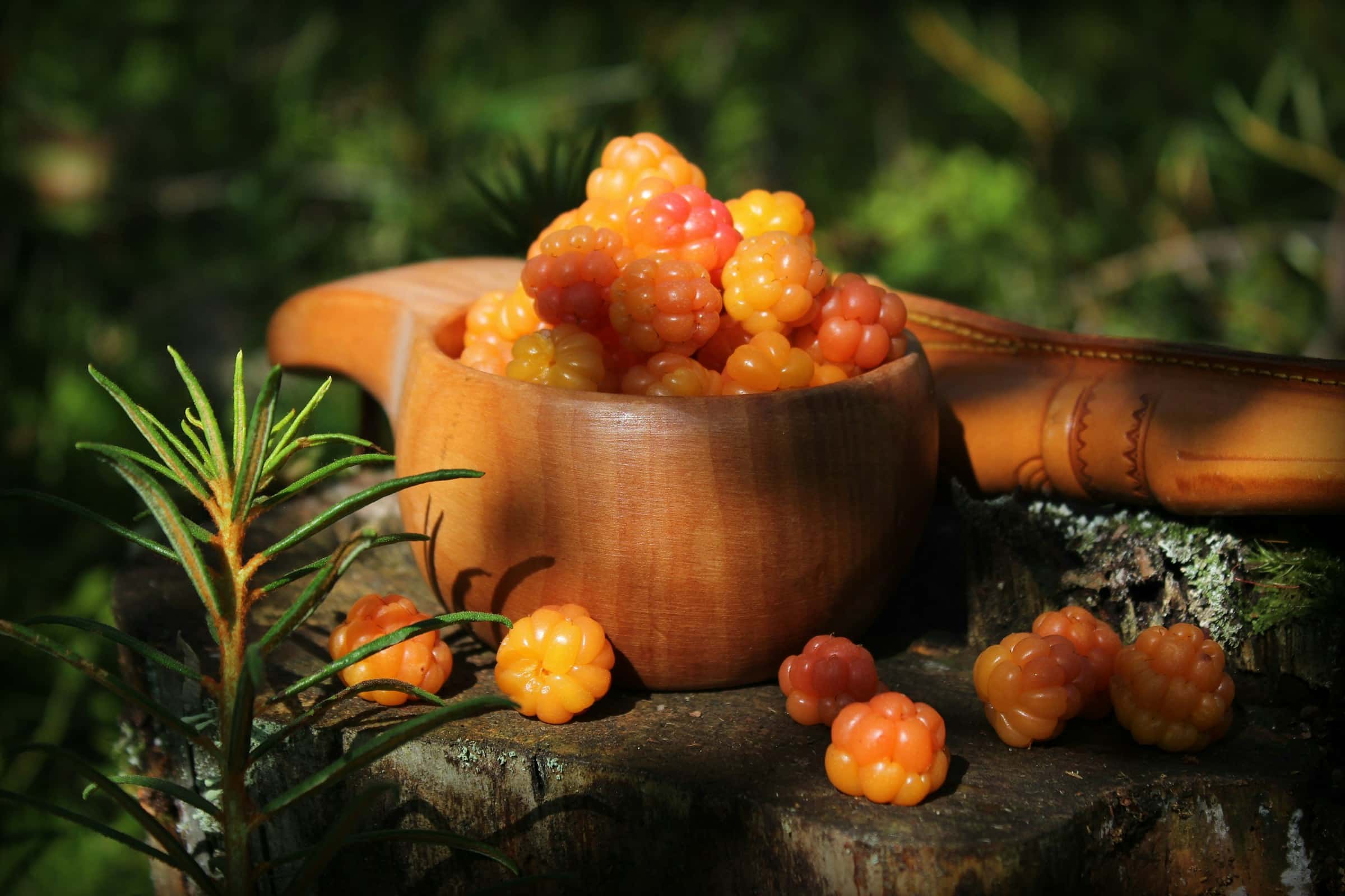 Cloudberry